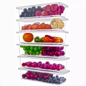 Rickon Fridge Storage Boxes Set of 6 Fridge Organizer with Removable Drain