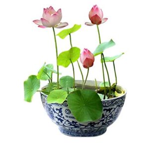 Rickon Lotus Mix Flower Seeds (Pack Of 20 Seeds) – All Mix Colors